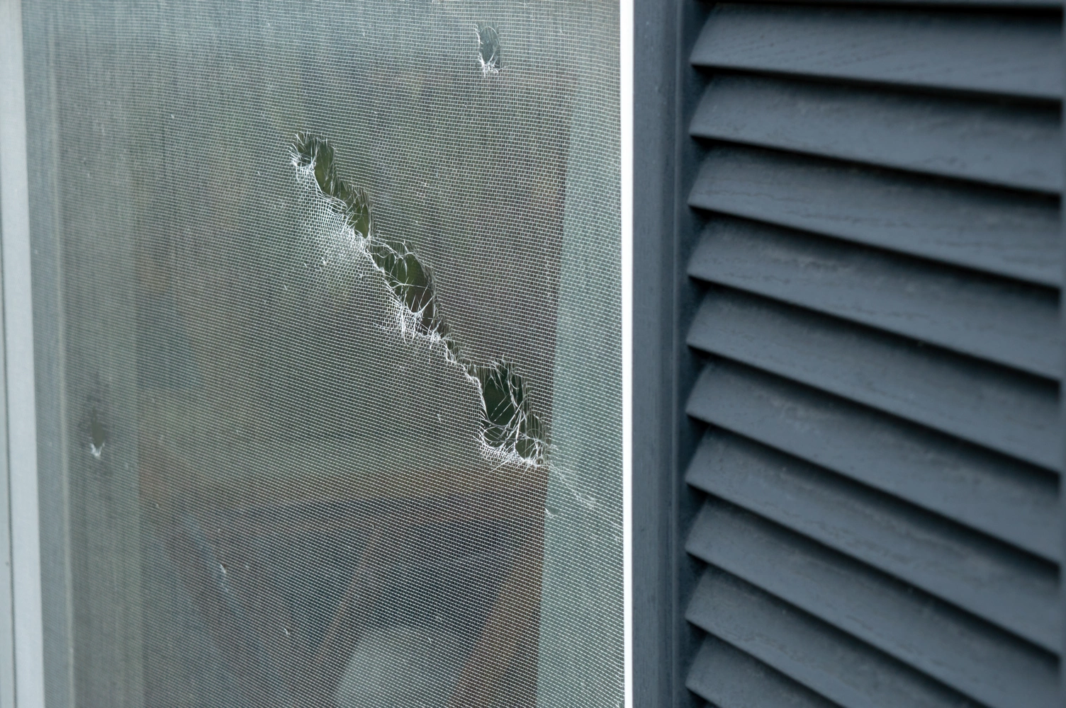 window replacement Chicago services